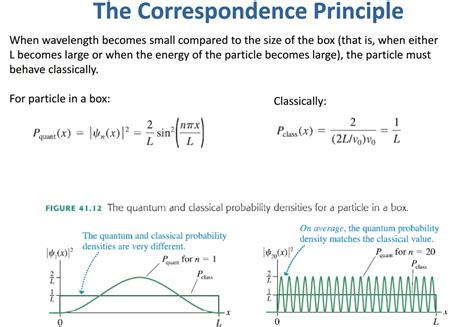 probability distribution of particle